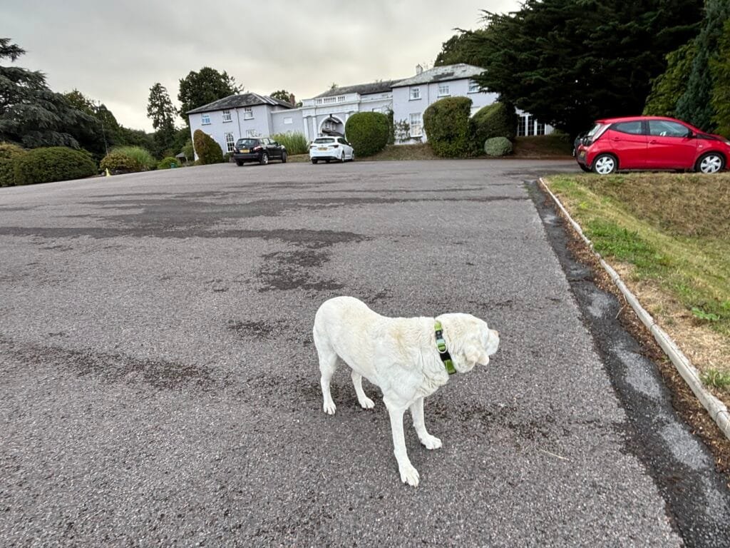 Tag 9 Nala vor dem Hotel