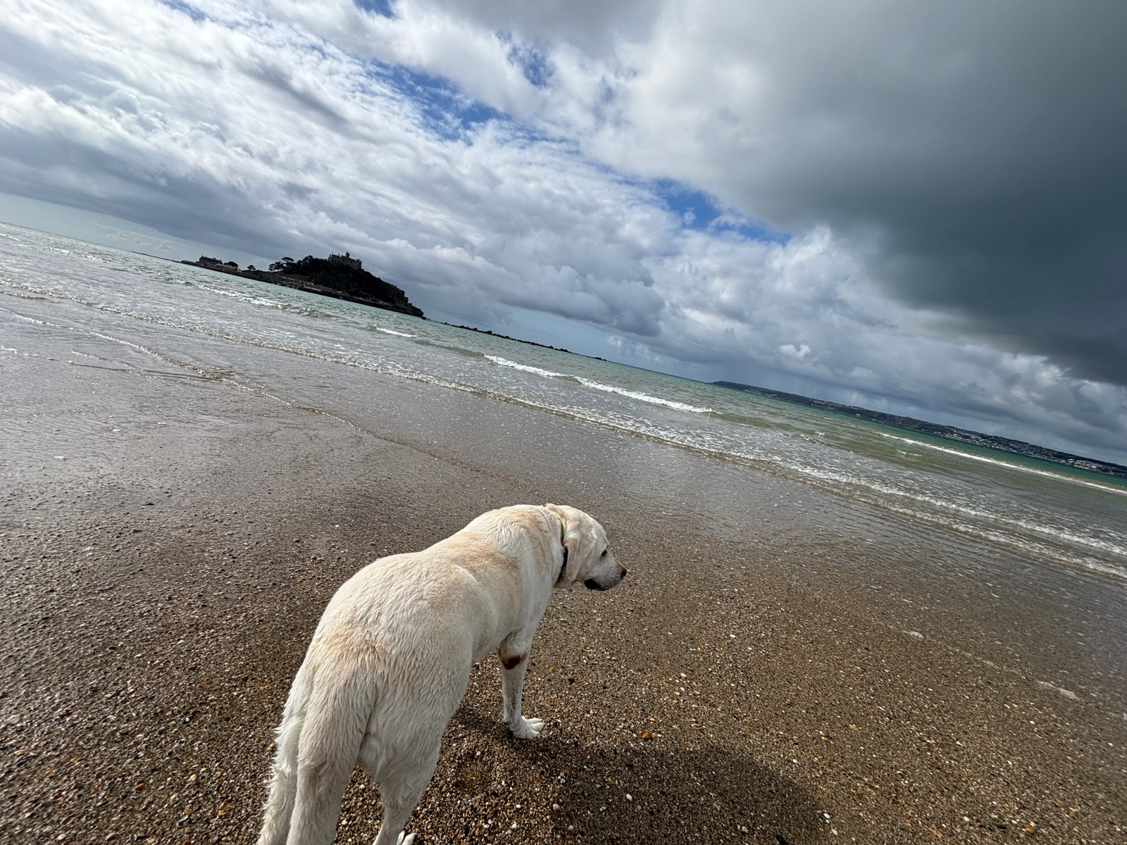UK 2026 Tag 12 Michaels Mount und Nala genießt die Ferne