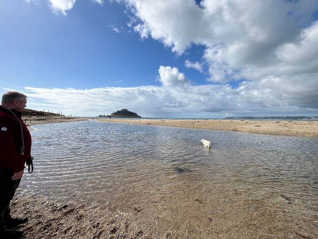 UK 2026 Tag 12 Michaels Mount und Nala schwimmt 2