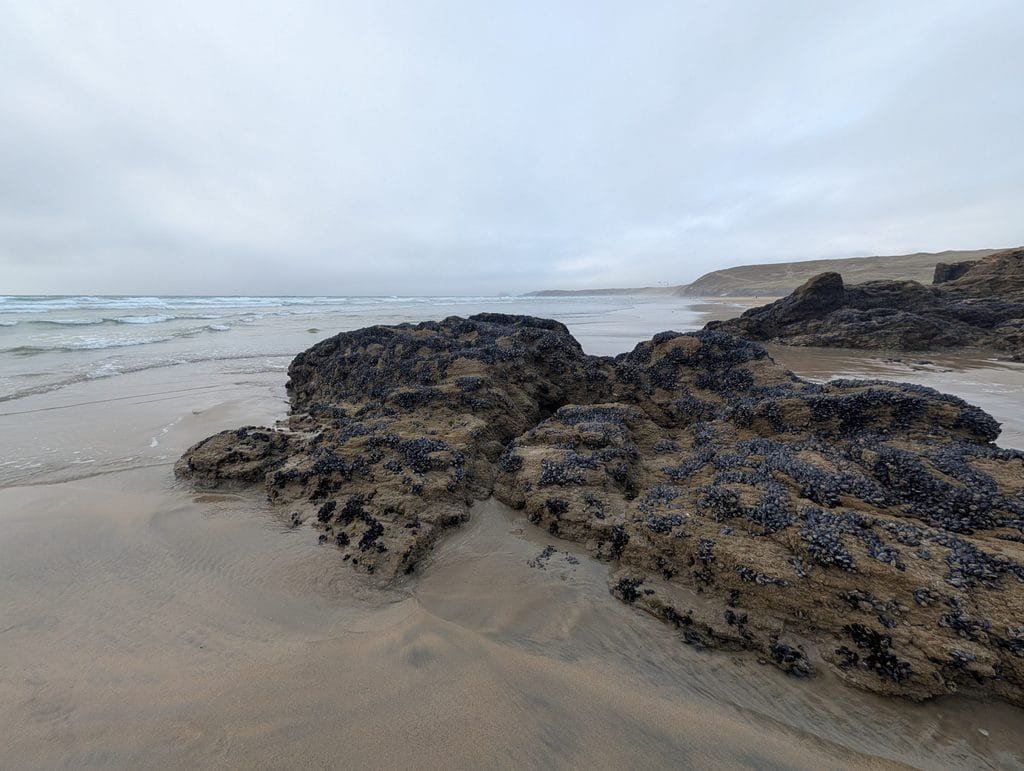 UK 2026 Tag 13 Perranporth mehr Muscheln