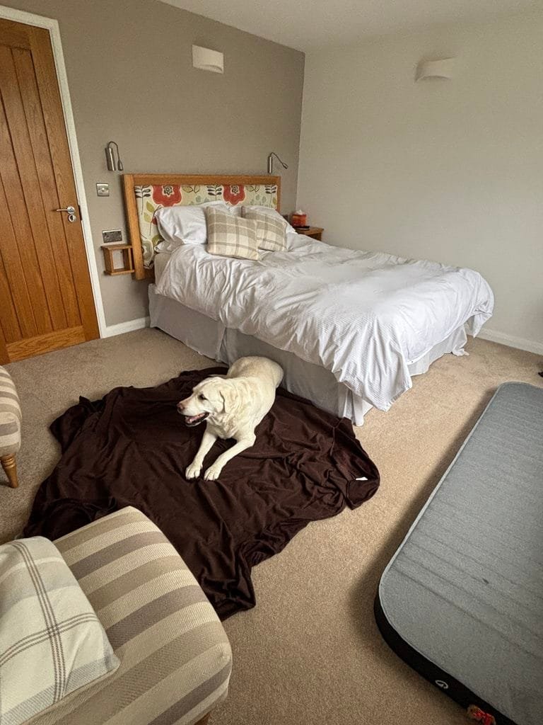 UK 2026 Tag 14 Parracombe BundB Schlafzimmer mit Nala