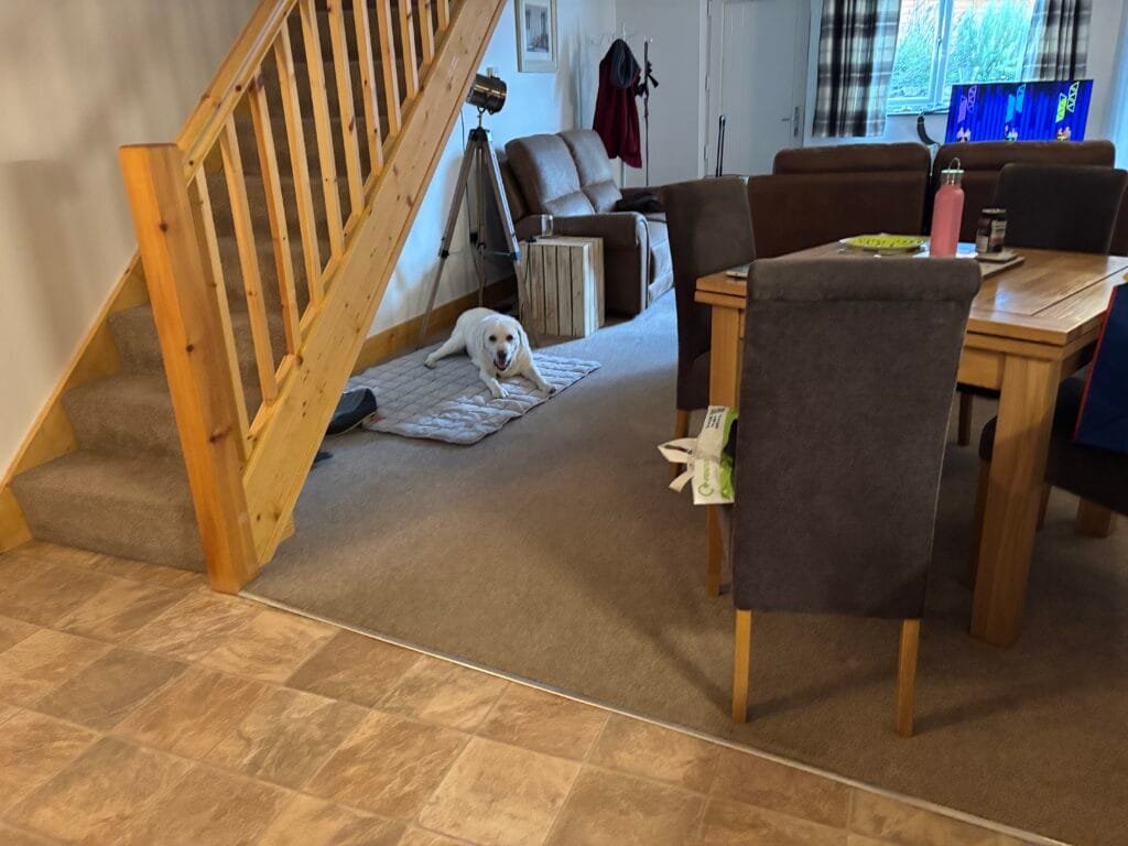 UK 2026 Tag 16 Wrexham Nala im Trotting Mare Holiday Let