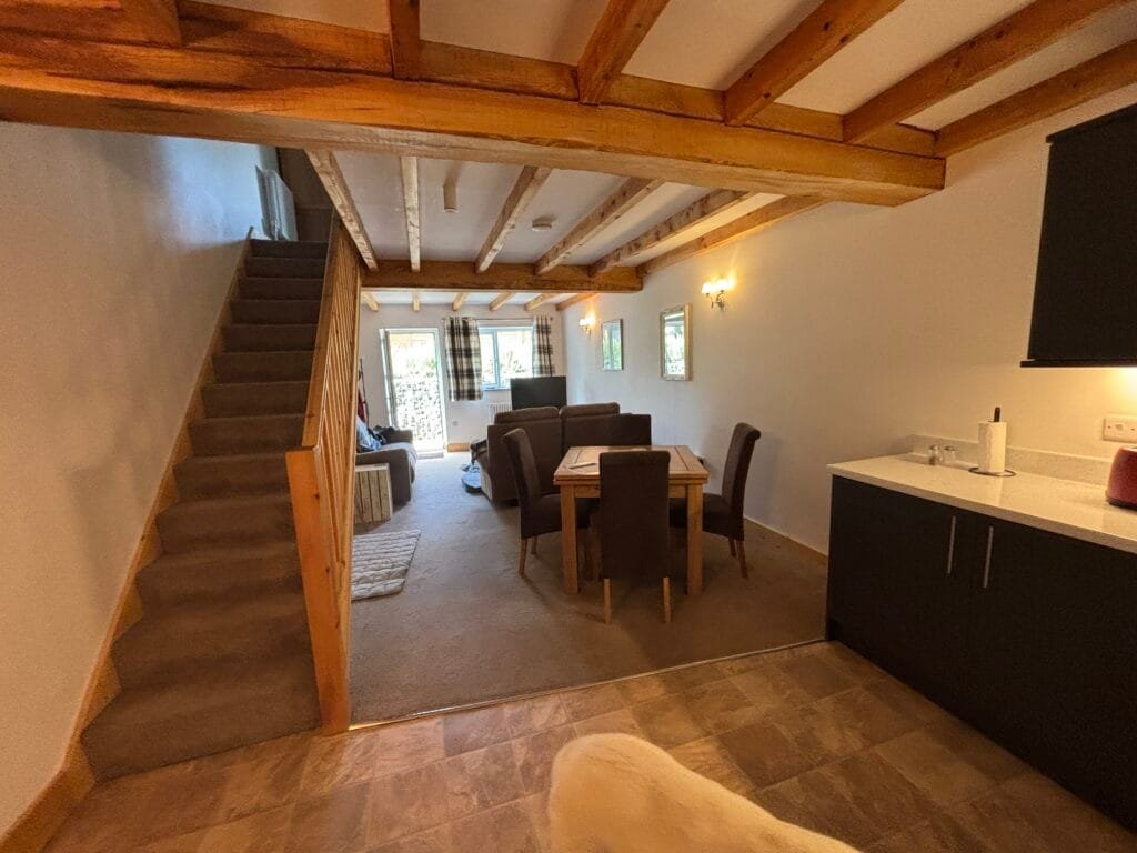 UK 2026 Tag 16 Wrexham Trotting Mare Holiday Let 2