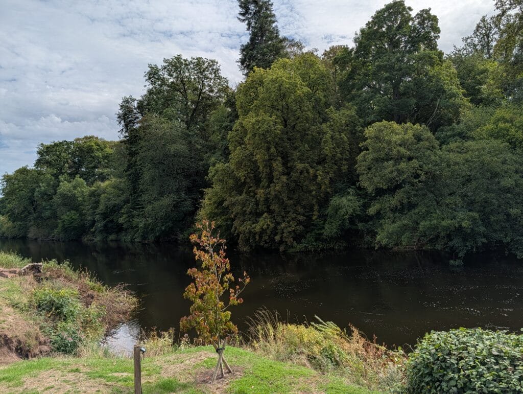 UK 2026 Tag 17 Wrexham Der Ausblick auf den Fluss von unserem Platz im Restaurant 2