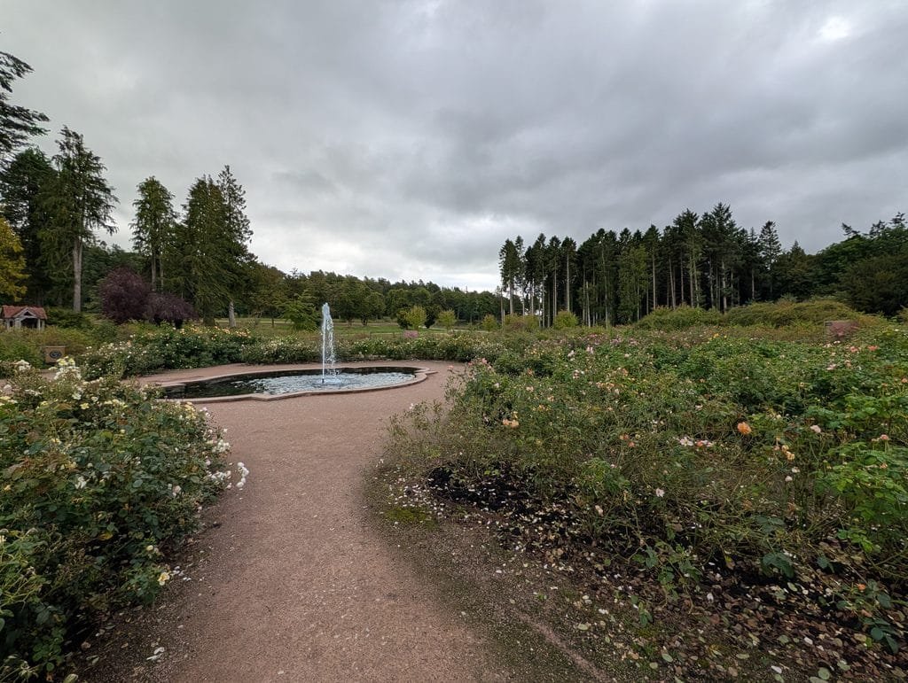 UK 2026 Tag 19 Schottland Lowther Castle Rosengarten 4