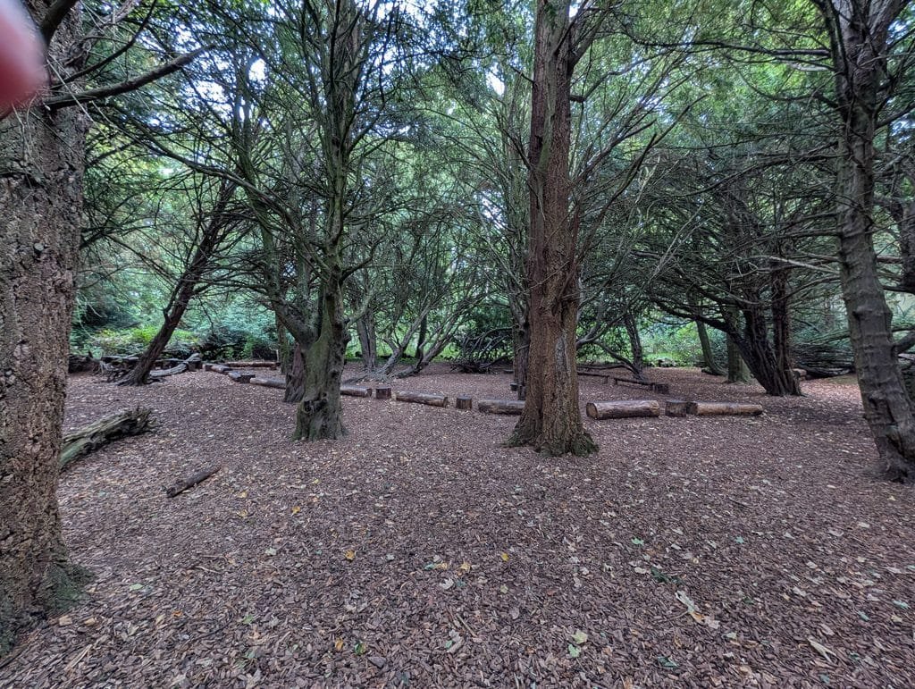 UK 2026 Tag 19 Schottland Lowther Castle und mehr alter Wald