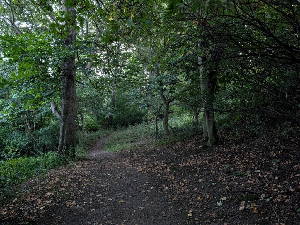 UK 2026 Tag 26 Newcastle Drummohr Camping Platz Dogwalk 2