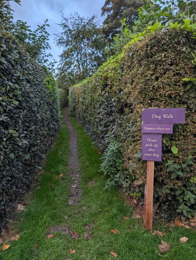 UK 2026 Tag 26 Newcastle Drummohr Camping Platz Dogwalk