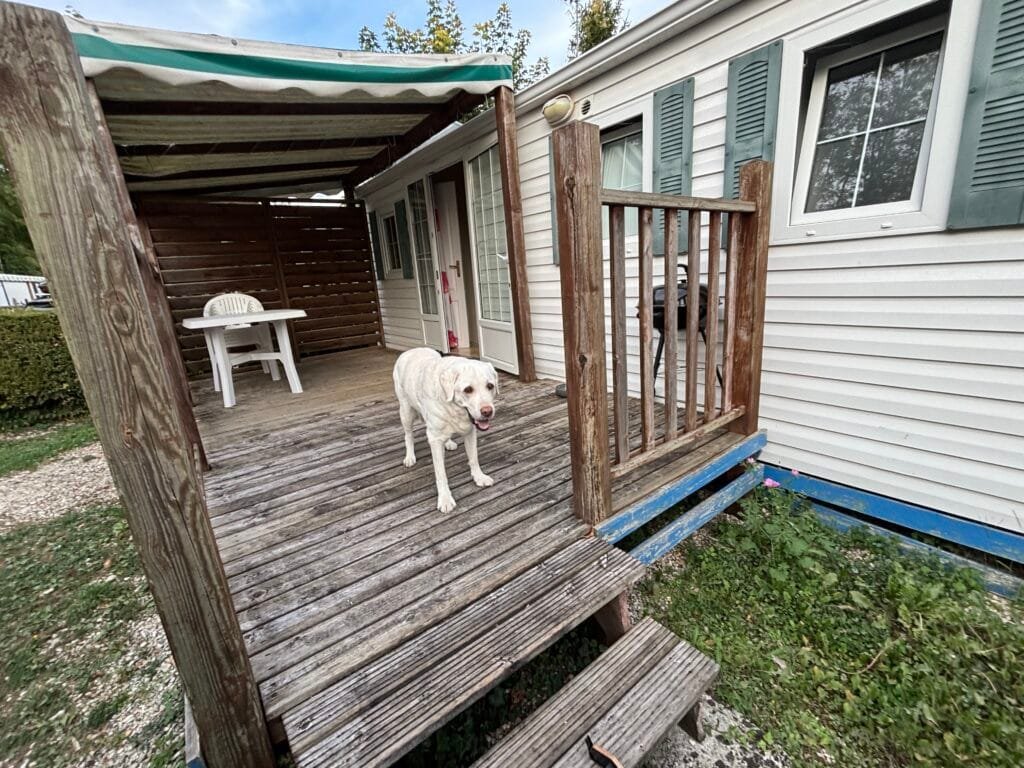 UK 2026 Tag 29 Canterbury Campingplatz mit Nala